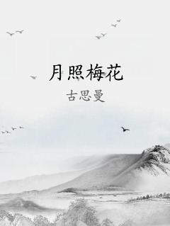 月照梅花