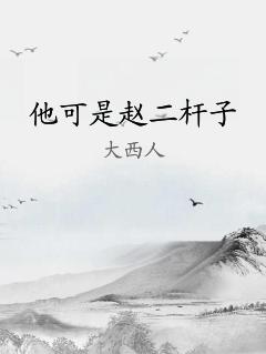他可是赵二杆子