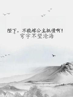 陛下，不能嫁公主抵债啊！