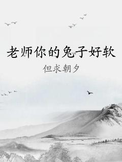 老师你的兔子好软