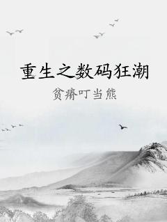 重生之数码狂潮