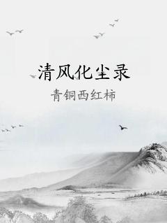 清风化尘录