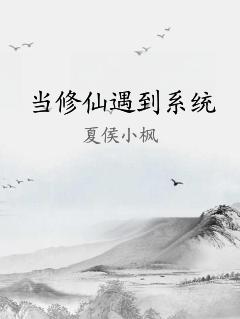 当修仙遇到系统