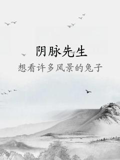 阴脉先生