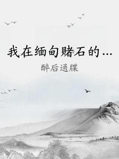 我在缅甸赌石的… 作者：醉后通牒