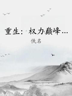 重生：权力巅峰… 作者：佚名