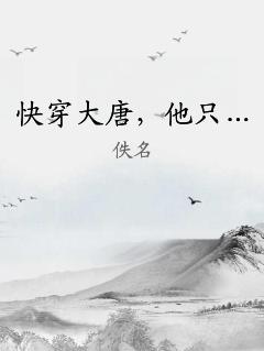 快穿大唐，他只… 作者：佚名