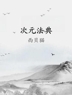 次元法典
