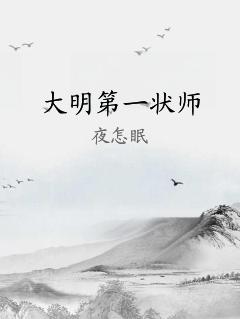大明第一状师