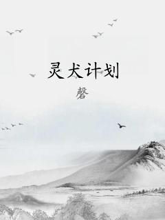 灵犬计划