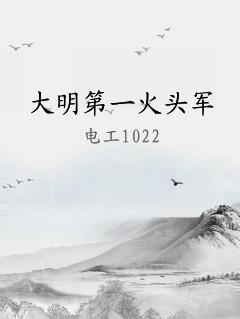 大明第一火头军