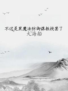 不过是黑魔法防御课教授罢了