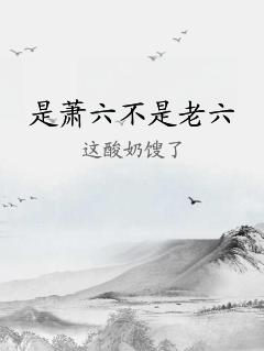 是萧六不是老六