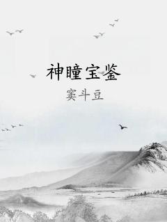 神瞳宝鉴