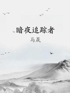 暗夜追踪者