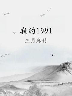 我的1991