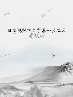 日本视频中文字幕一区二区